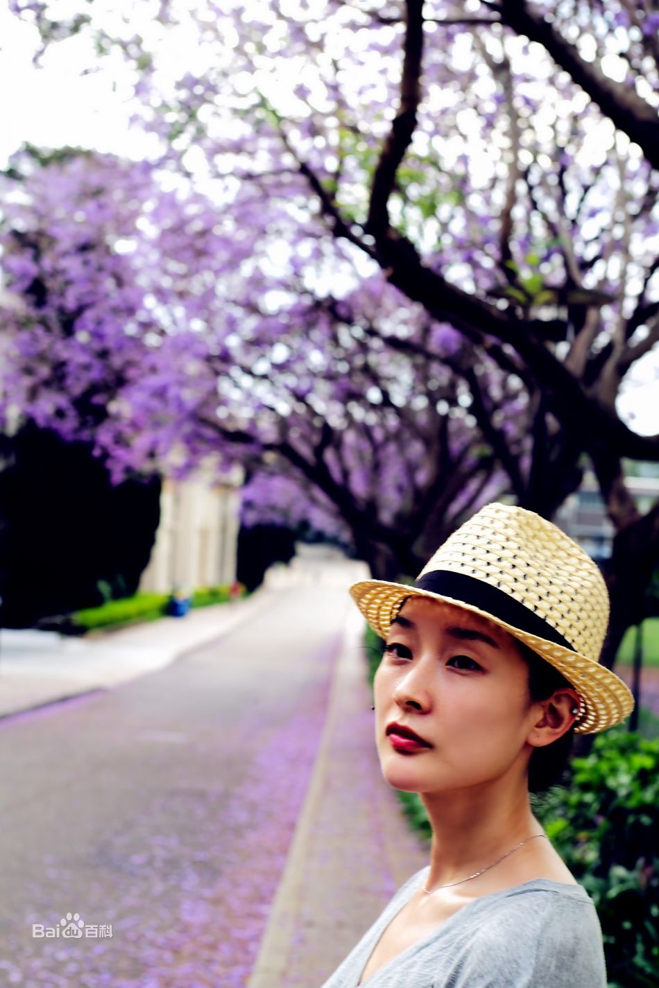 汪洋最全最新壁纸