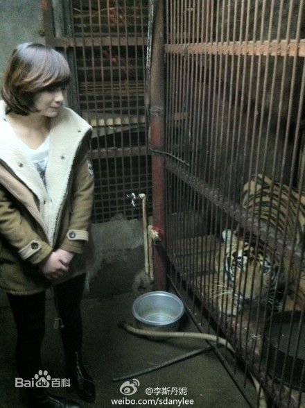 最全李斯丹妮(Dany Lee)精彩图册