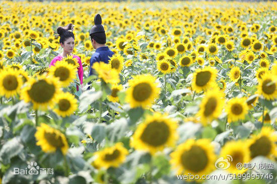 王双(Simona)美人制造 敏慧县主素颜照相册