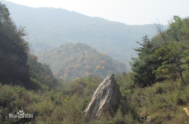 最优质丹江生活照