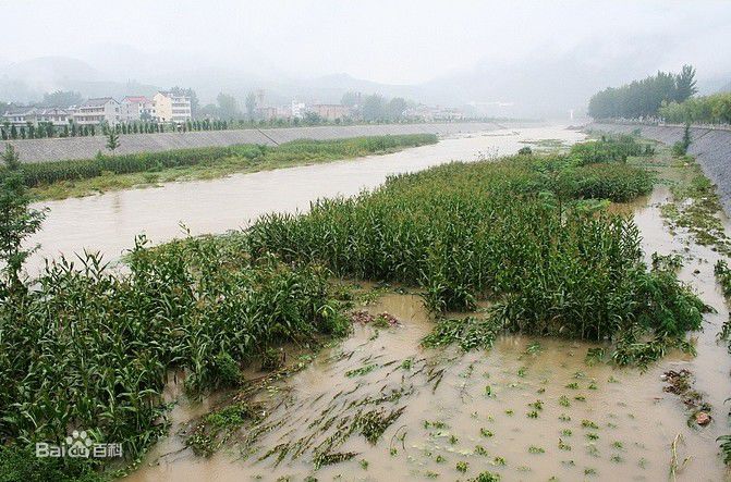 最优质丹江生活照