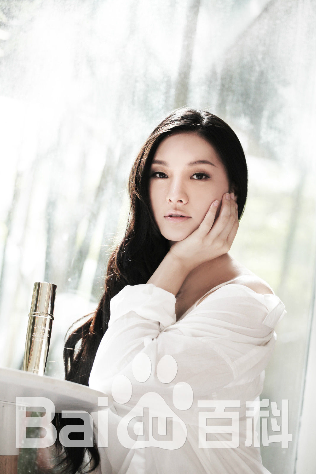 吴冬妮(Nina Wu)广告平面前后照片