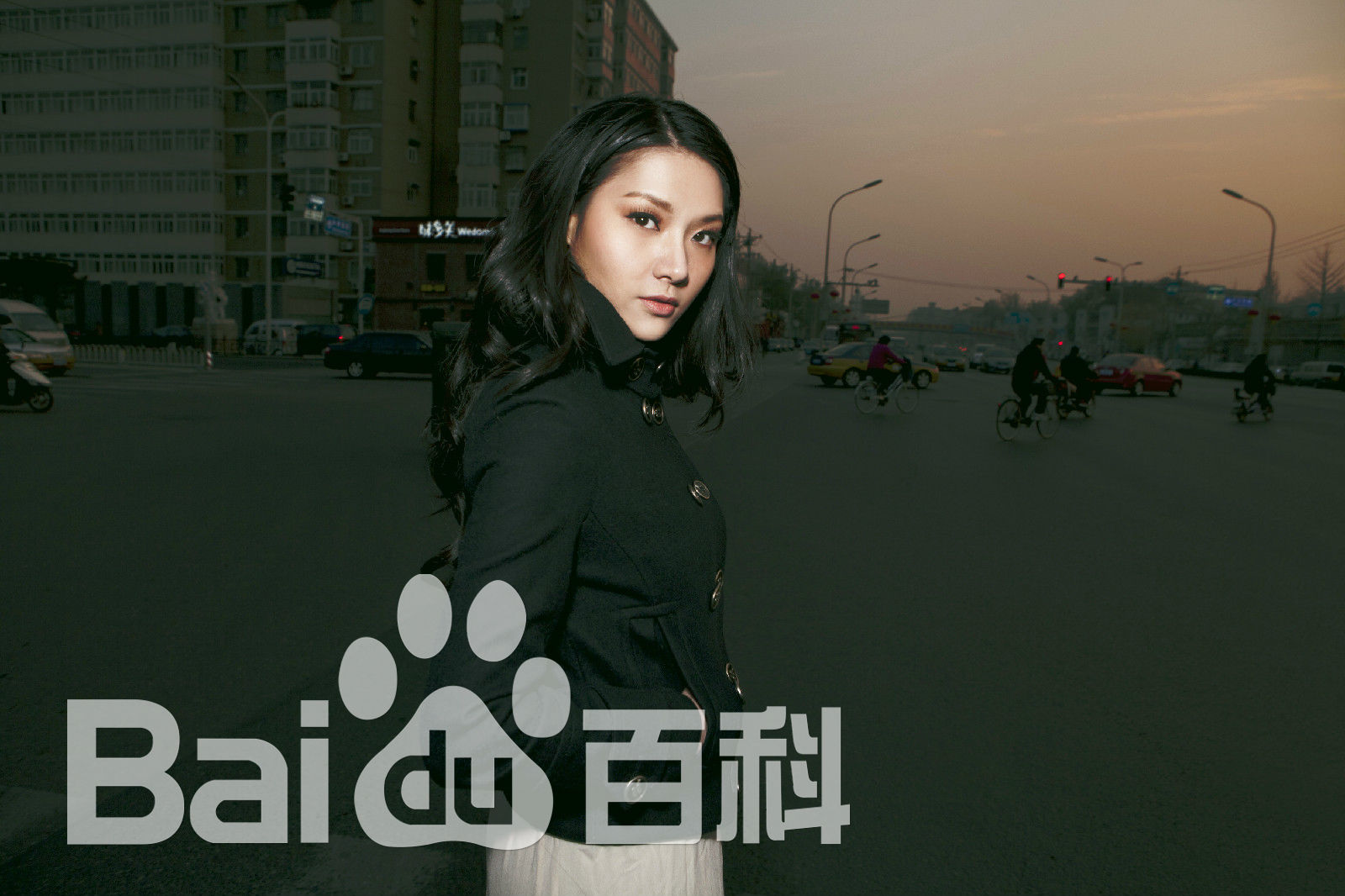 吴冬妮(Nina Wu)生活照壁纸壁纸