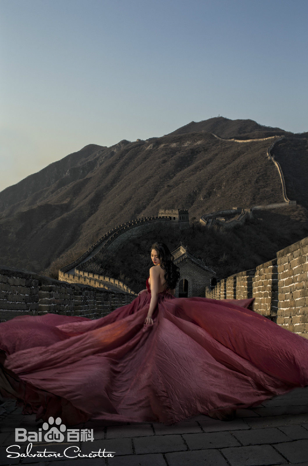 吴冬妮(Nina Wu)艺术照壁纸壁纸