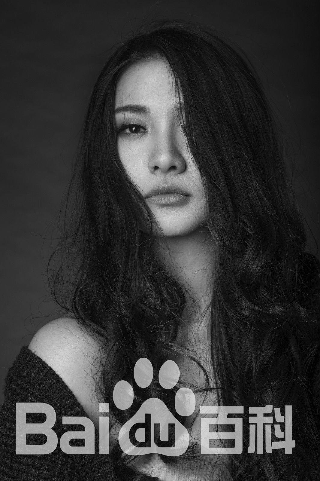 吴冬妮(Nina Wu)艺术照壁纸壁纸