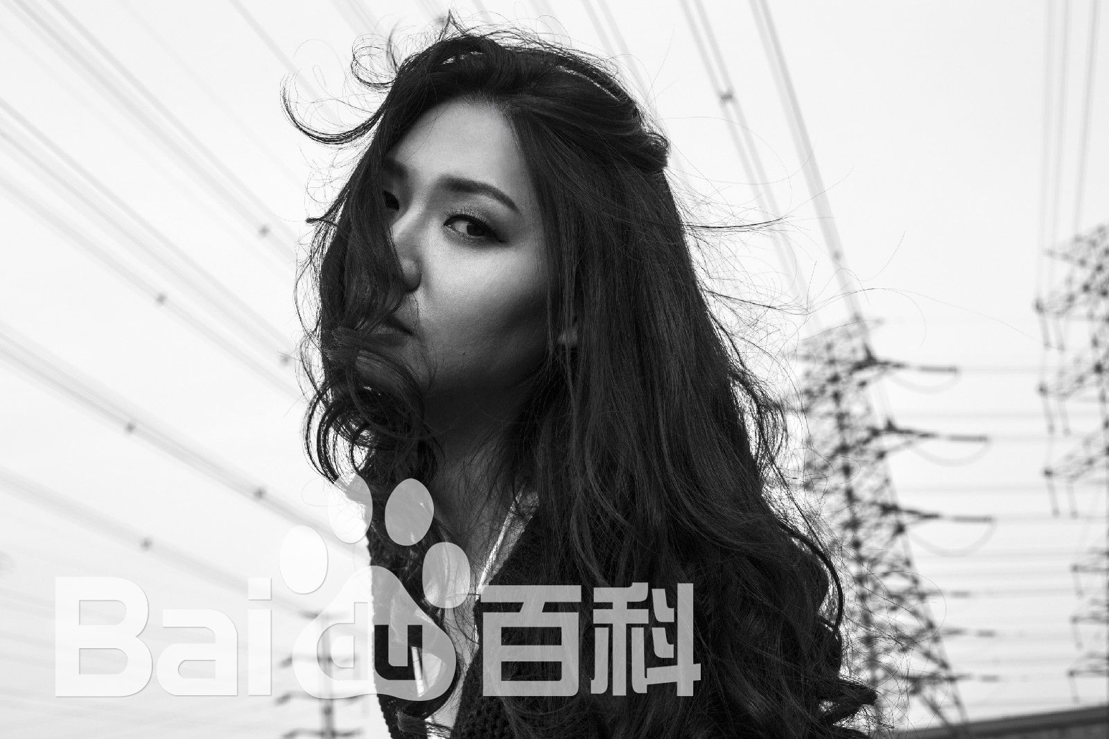 吴冬妮(Nina Wu)艺术照壁纸壁纸