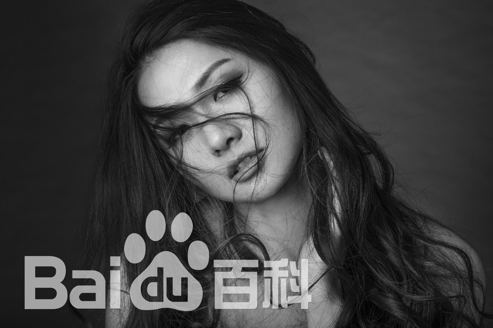 吴冬妮(Nina Wu)艺术照壁纸壁纸
