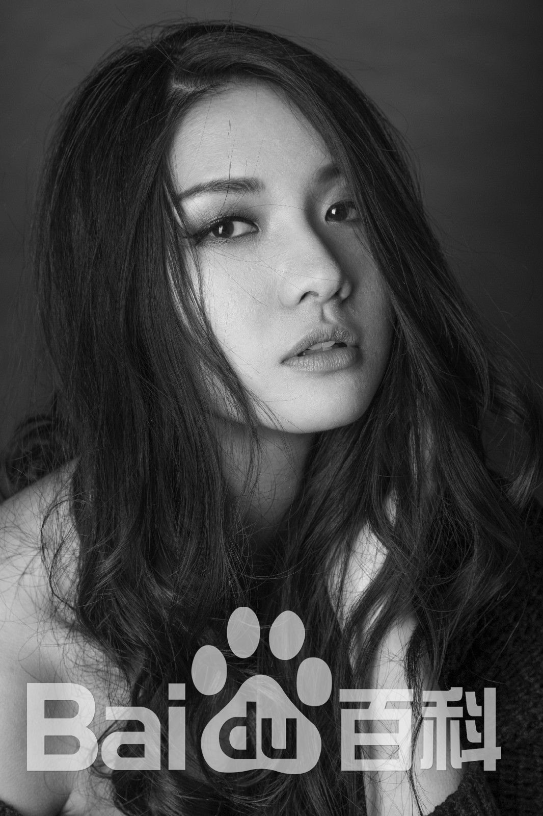 吴冬妮(Nina Wu)艺术照壁纸壁纸