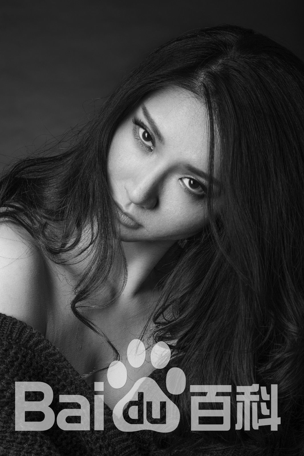 吴冬妮(Nina Wu)艺术照壁纸壁纸