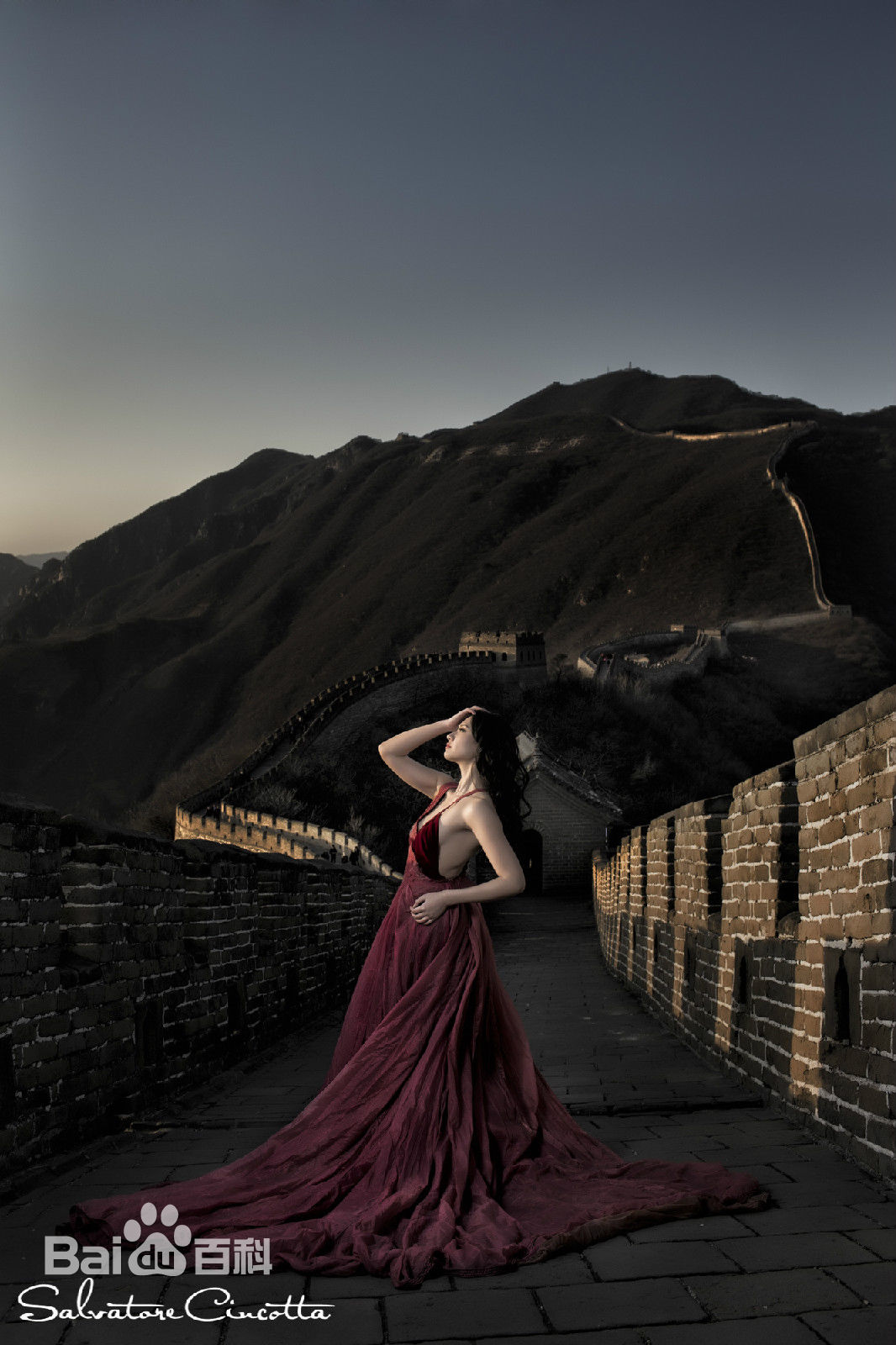 吴冬妮(Nina Wu)艺术照壁纸壁纸