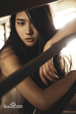 吴冬妮(Nina Wu)时尚平面素颜照相册