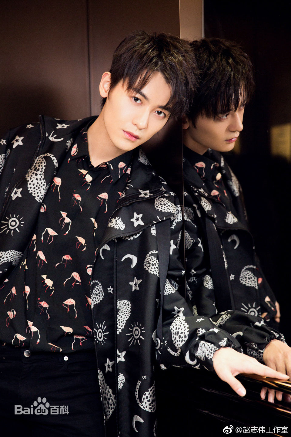 赵志伟活动图壁纸壁纸