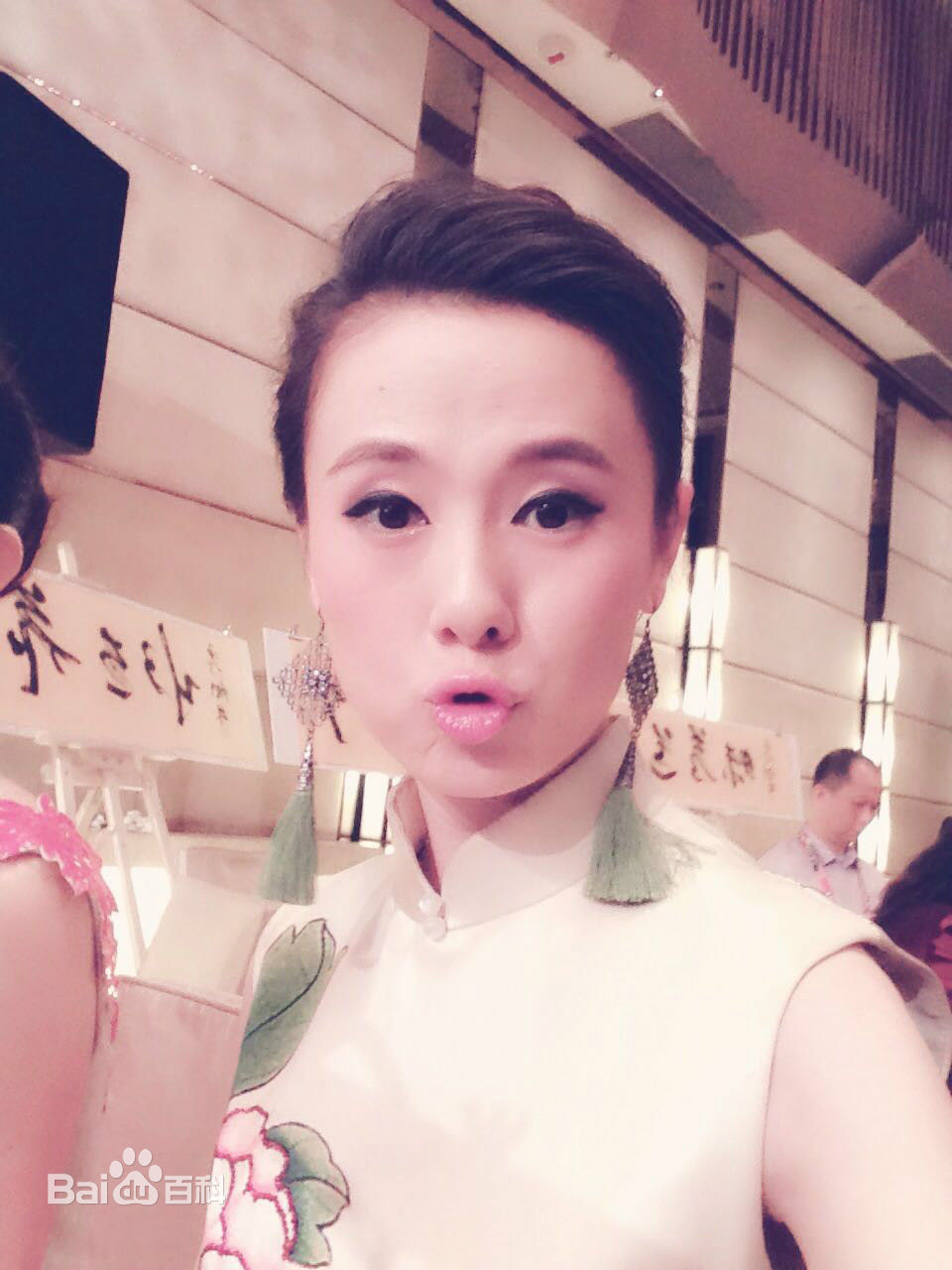 杨一精美图册壁纸壁纸