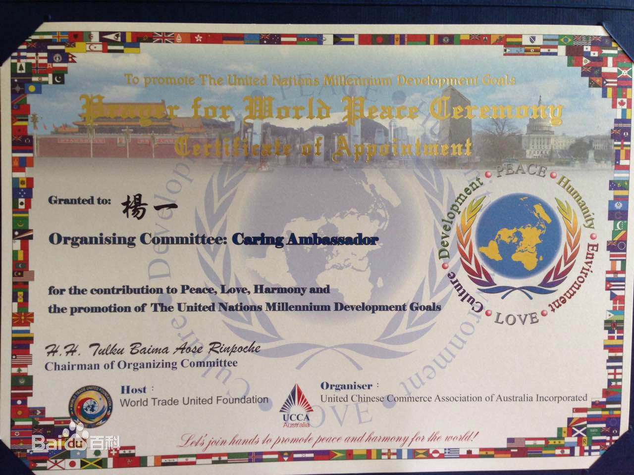 杨一代表cctv5与云南卫视合作大型直播活动图片图集