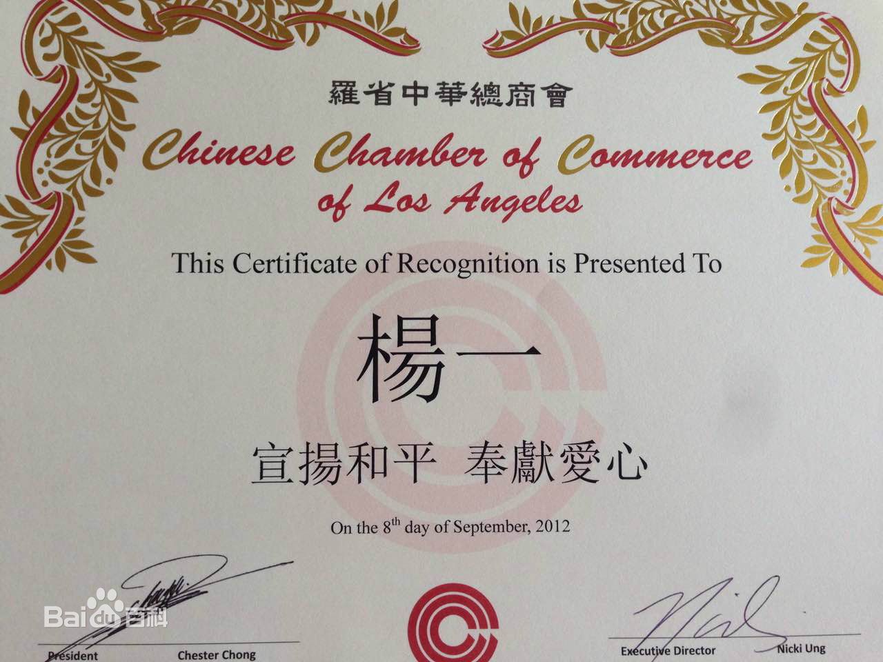 杨一代表cctv5与云南卫视合作大型直播活动图片图集