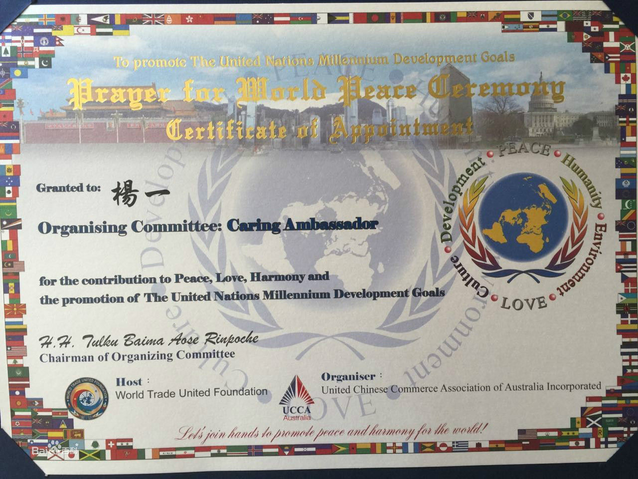 杨一联合国图片图集