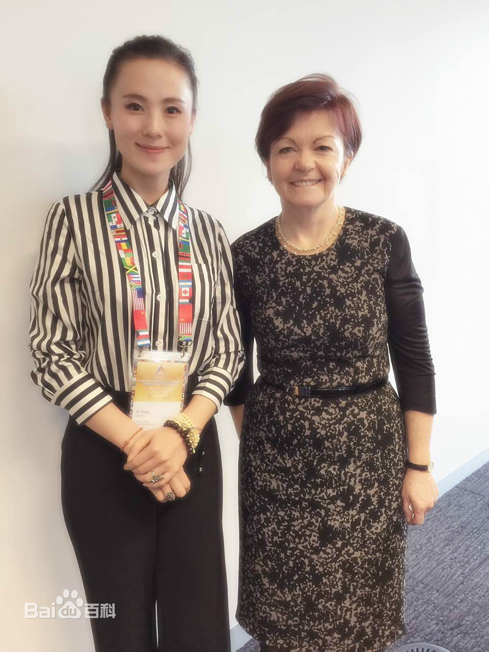 杨一联合国图片图集