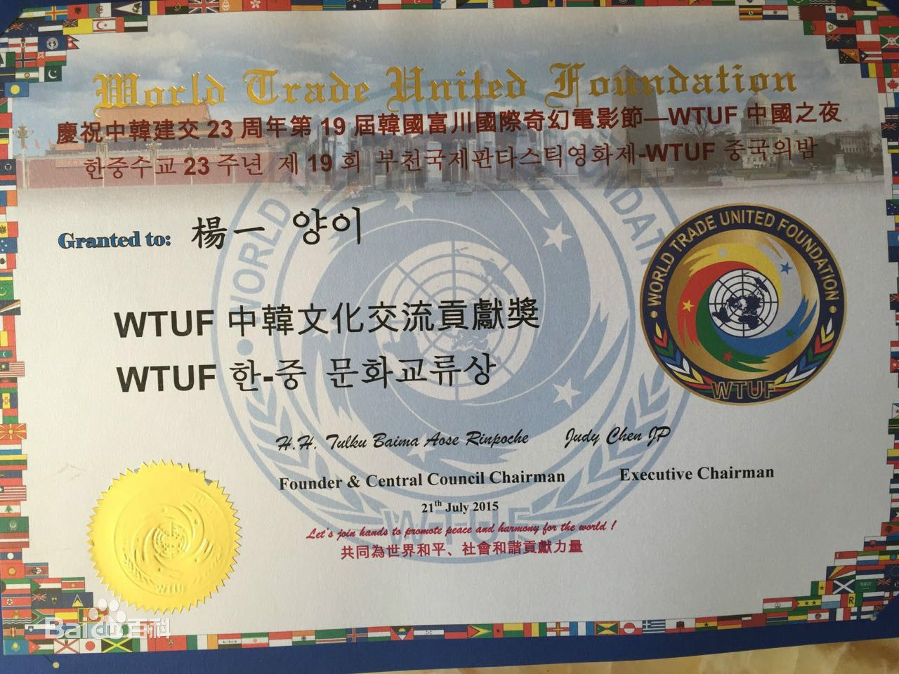 杨一联合国图片图集