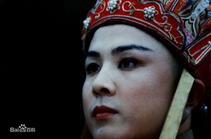 高清徐少华精彩图册