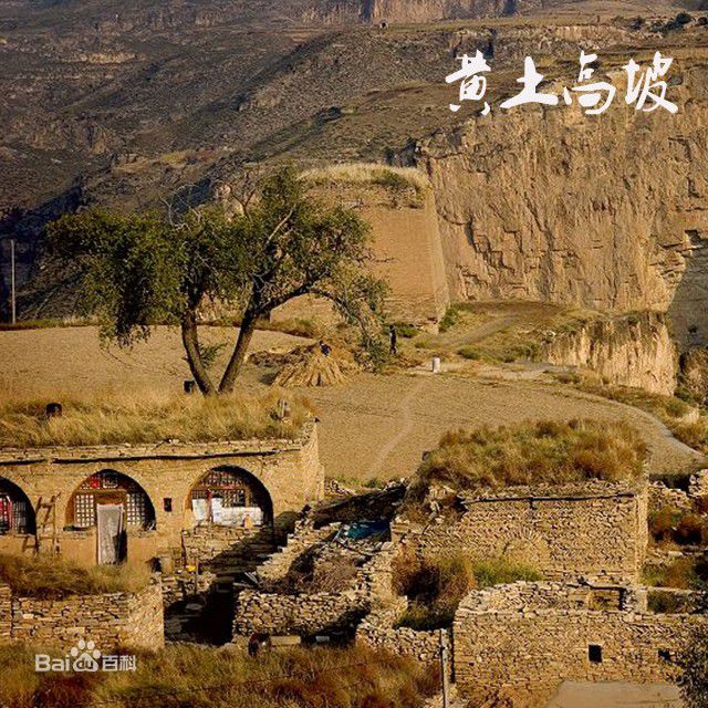 精选崔景富(Cui Jingfu)