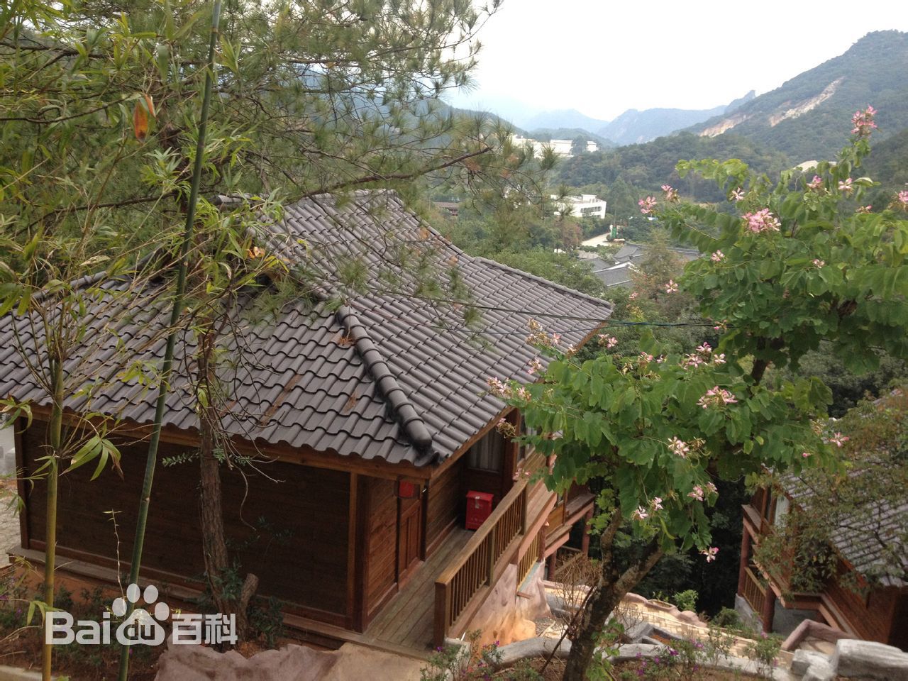 朱龙广前后照片