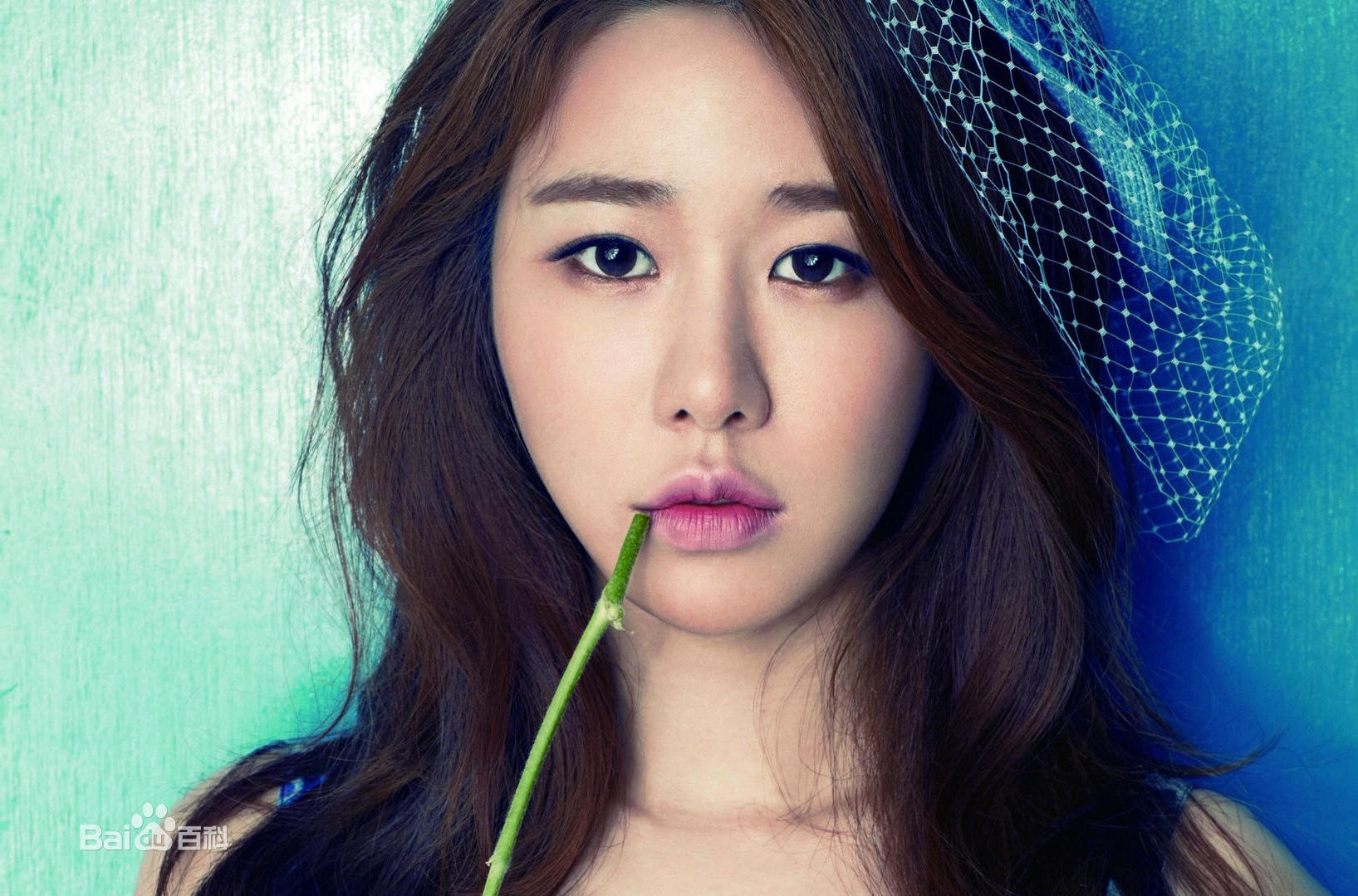 最新劉寅娜(Yoo In-Na)壁纸