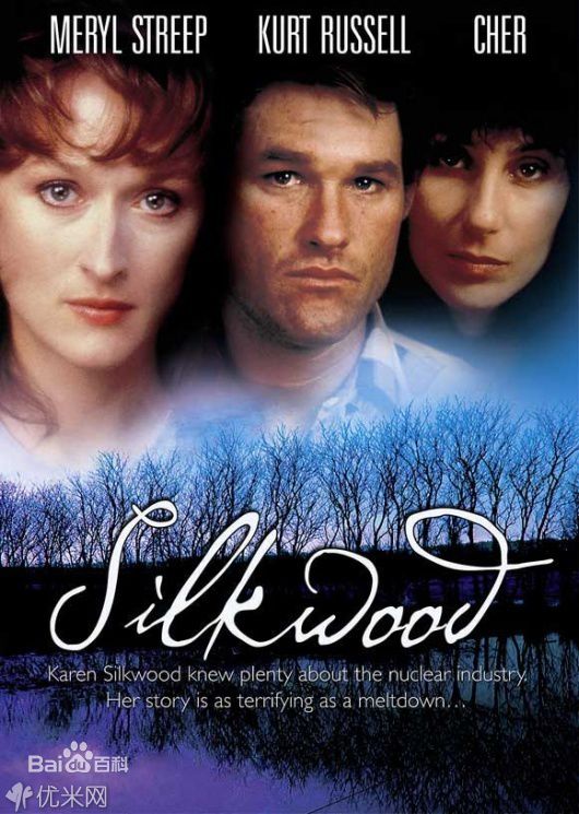 最优质雪儿(Cher)素颜照