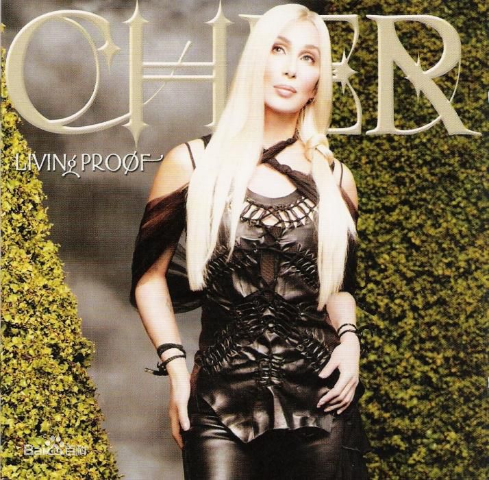 最优质雪儿(Cher)素颜照