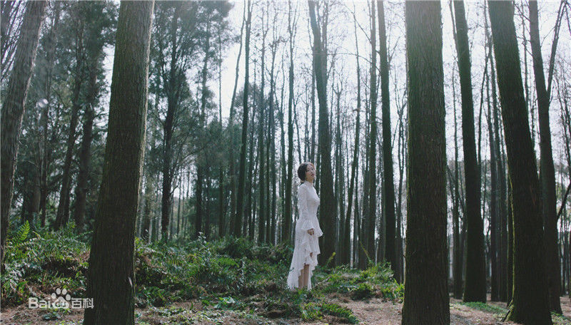 最全马吟吟在EP《吟吟》中的壁纸