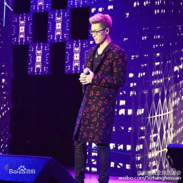 最新张赫宣在《点赞》首唱会中的图集