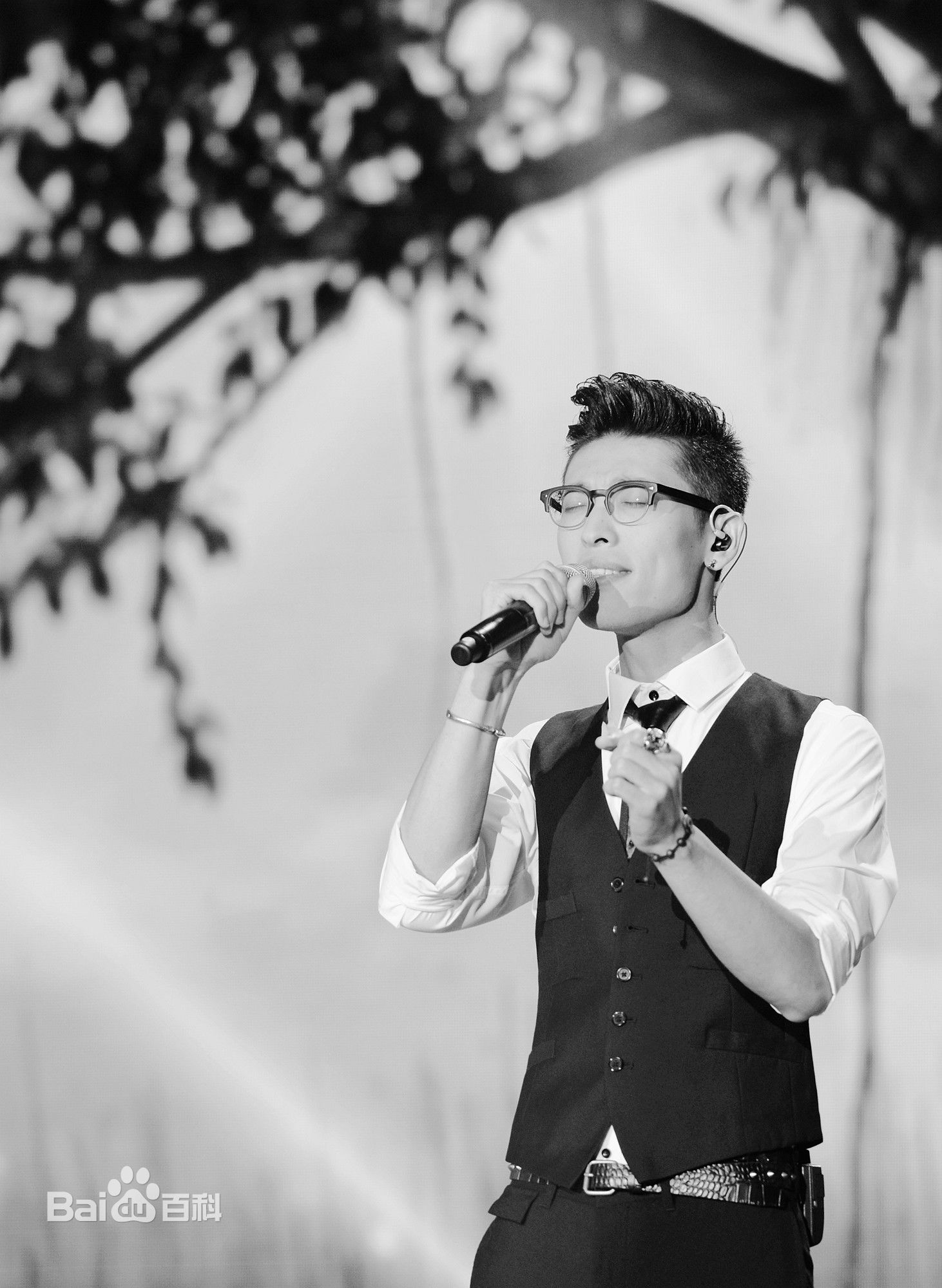 张赫宣演出图片图册