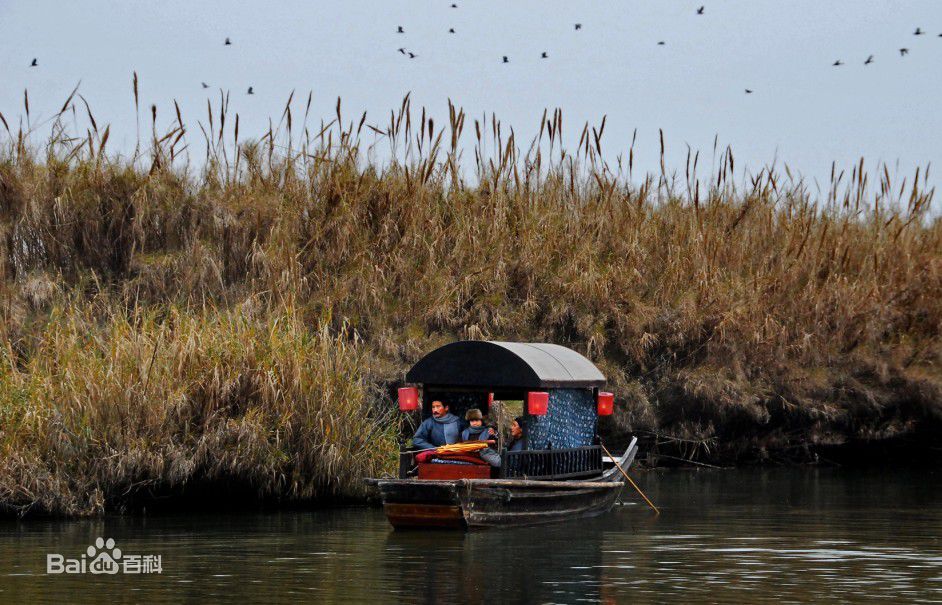 由立平(You Liping)之鲁迅最全剧照