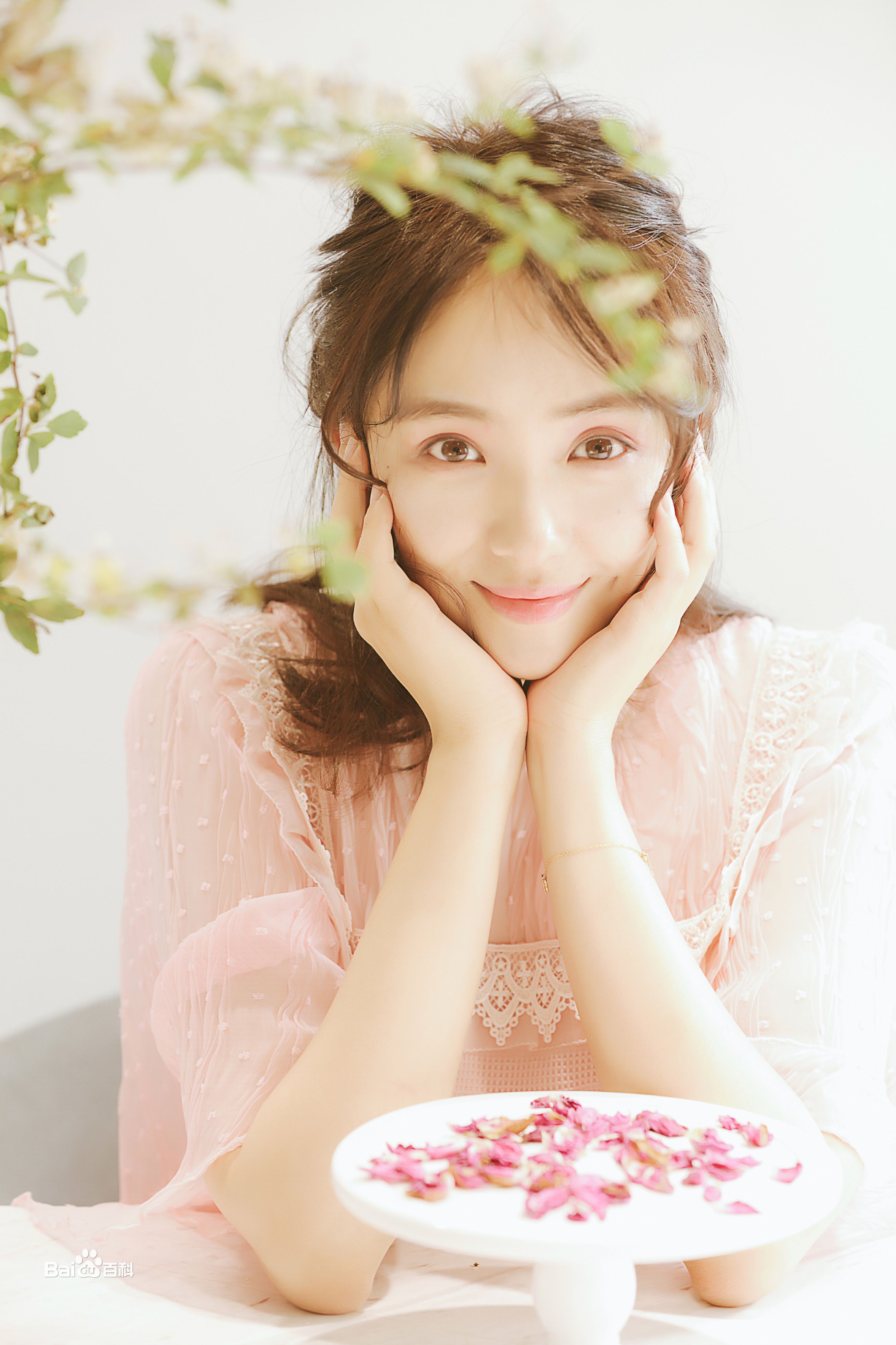 高清刘晓洁图片