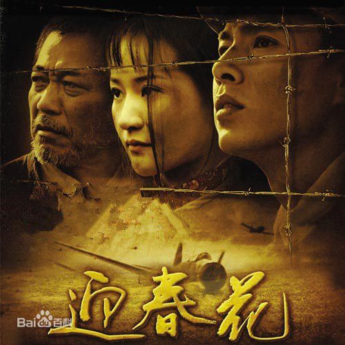 精选王娅楠图片