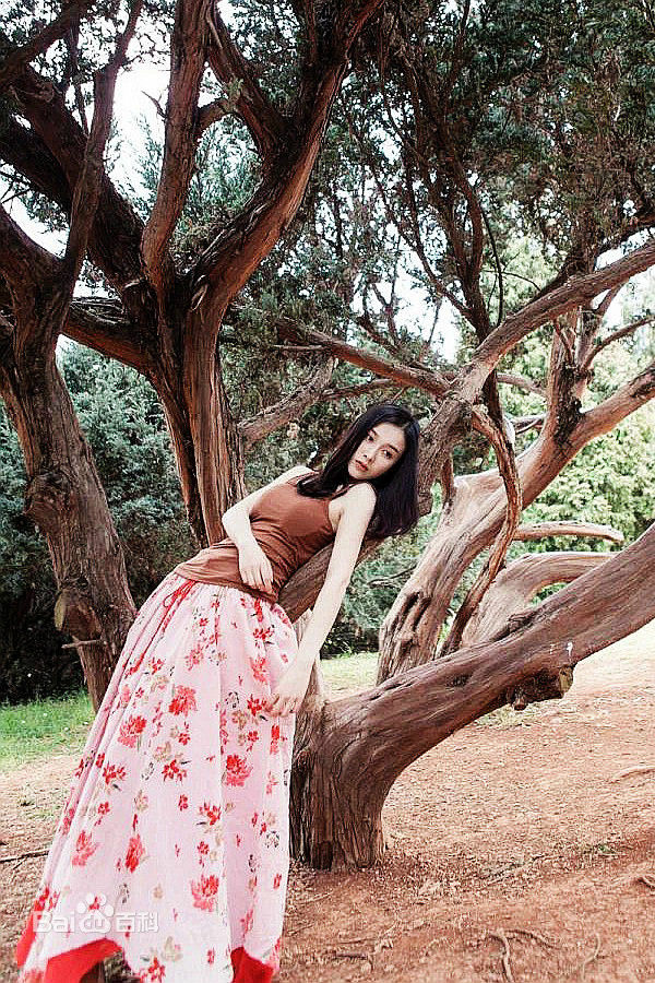 李艾瑾精选图册