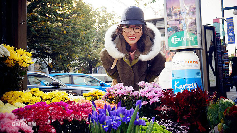 李艾瑾精选图册