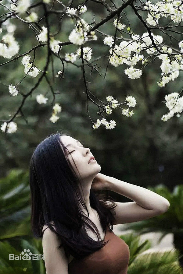 李艾瑾精选图册