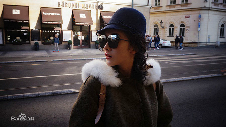 李艾瑾精选图册