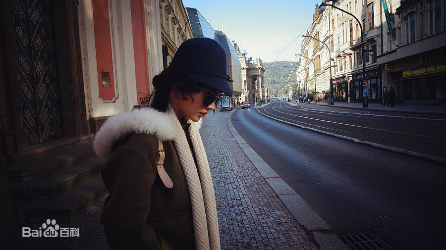 李艾瑾精选图册