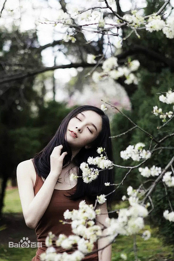 李艾瑾精选图册