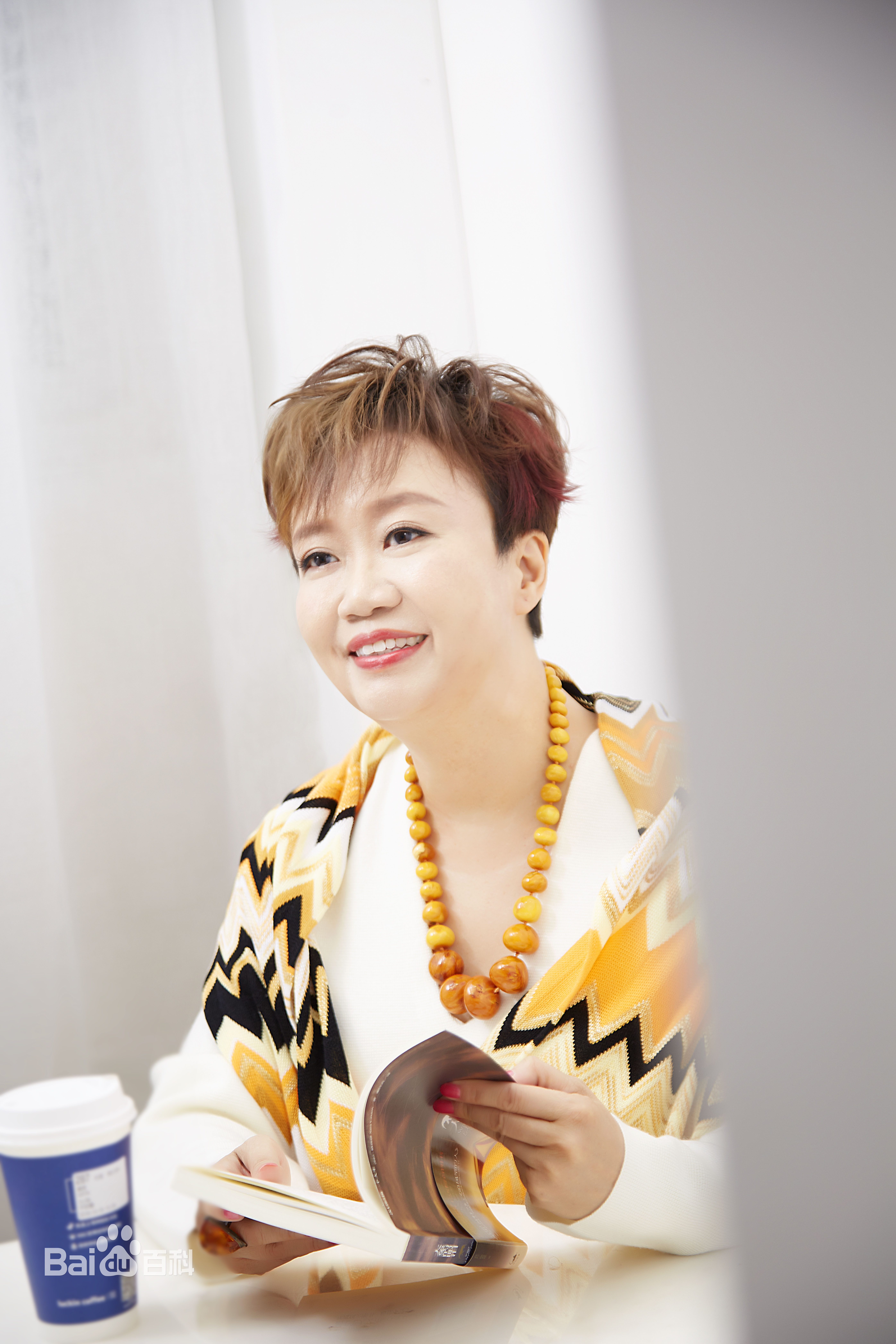 陈宝华(Ella Chan)高清图集