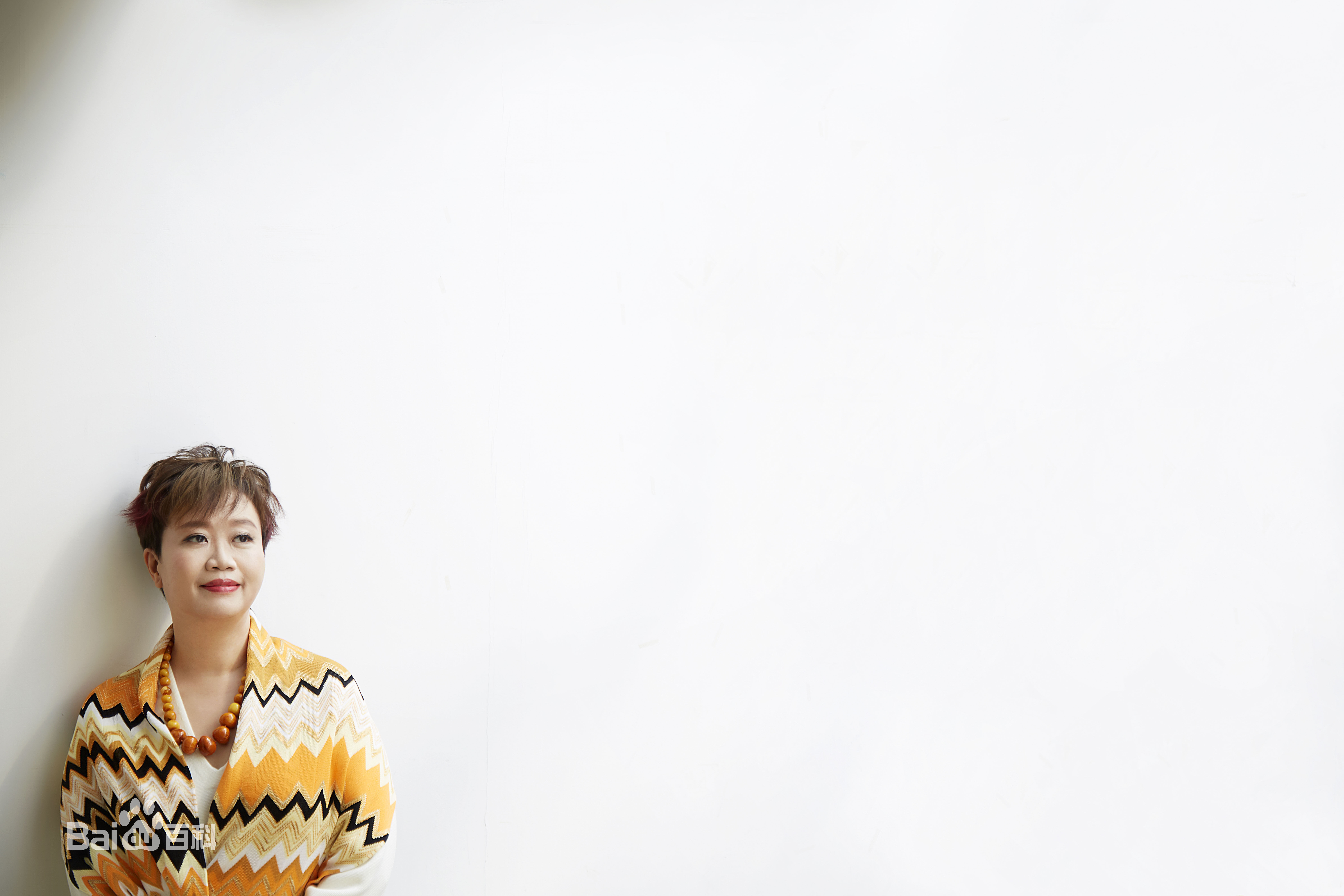 陈宝华(Ella Chan)高清图集