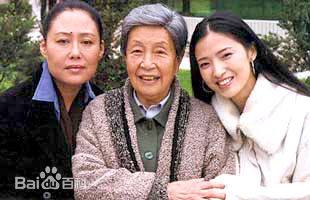 最全黄素影壁纸