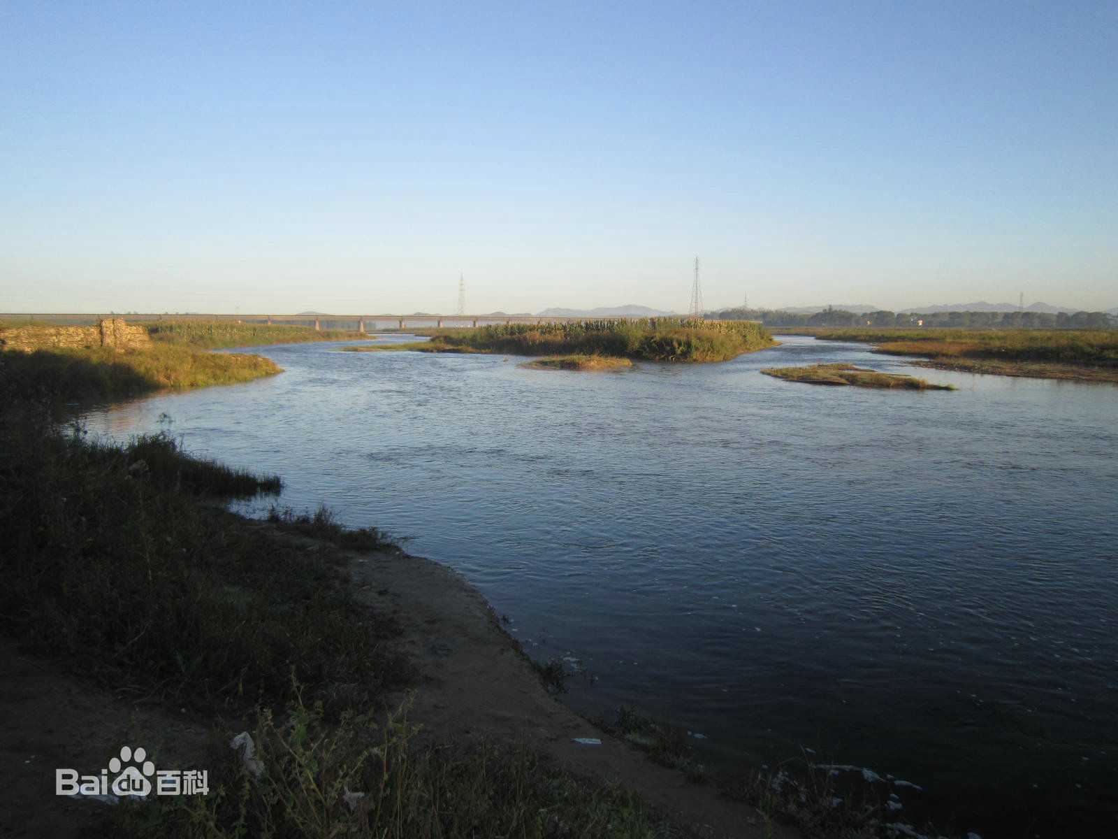最全谢金天壁纸
