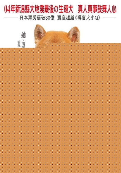 佐佐木麻绪(佐々木 麻绪)电视剧作品图册