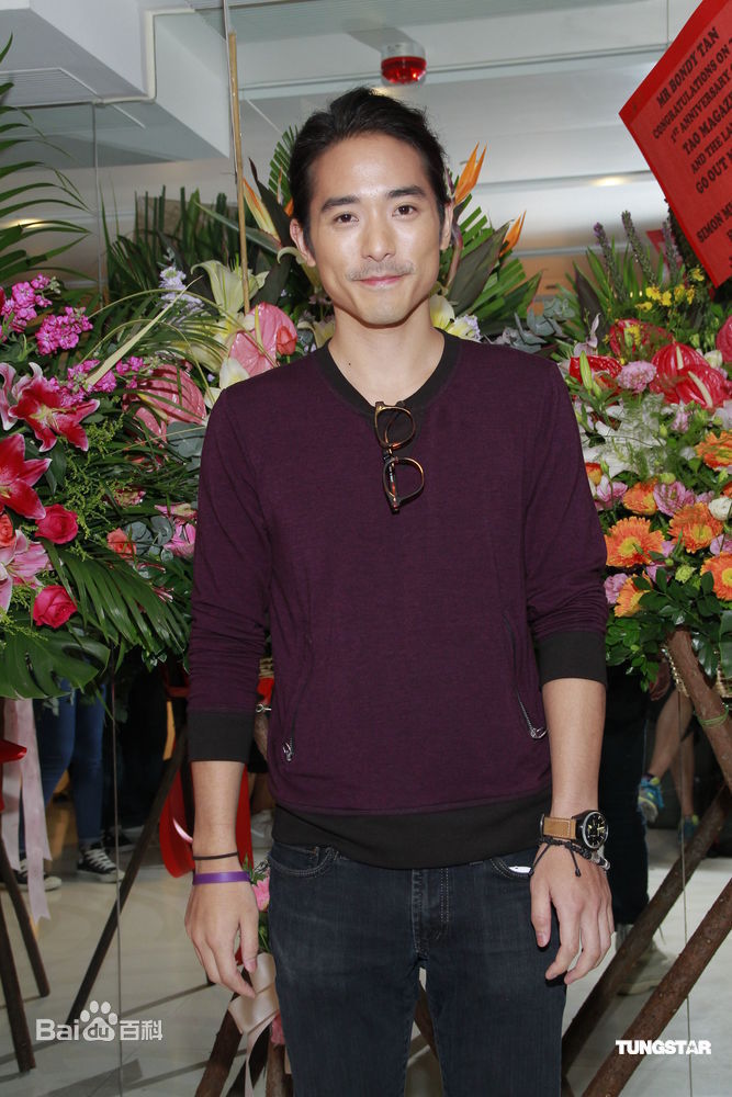 高清林德信(Alex Lam)精彩图册