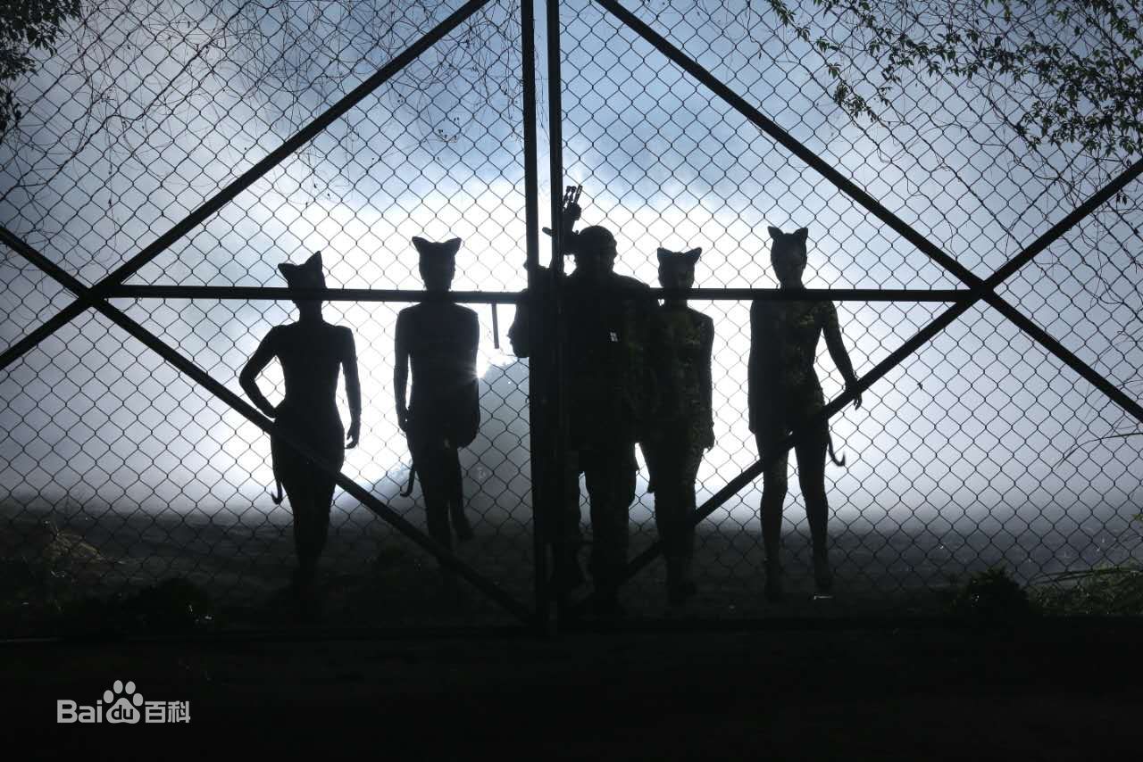 宁小花奇妙的朋友高清剧照