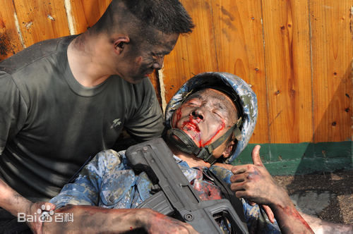 贾宏伟《火蓝刀锋》剧照