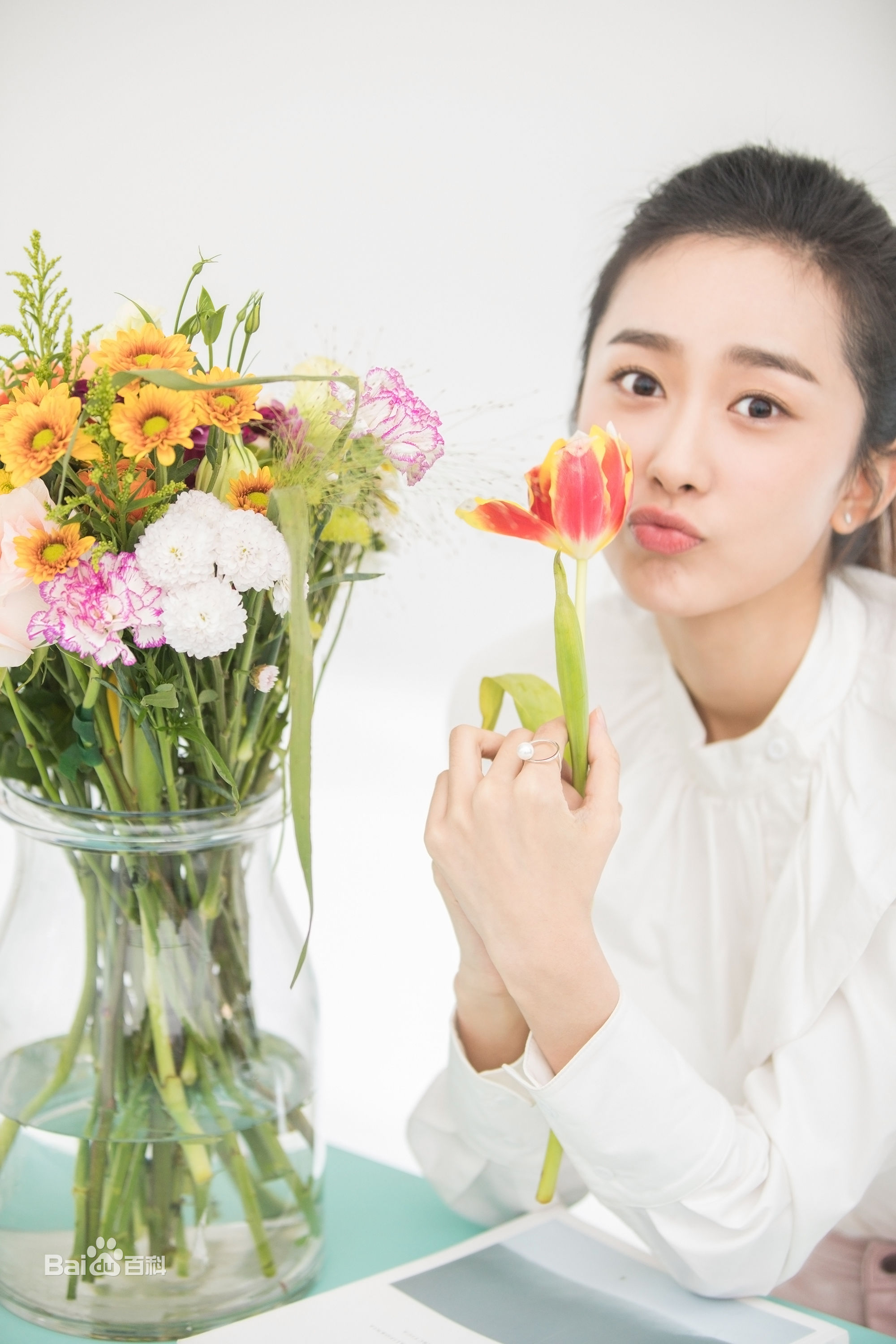 迟宁宁(Chi Ningning)最全壁纸