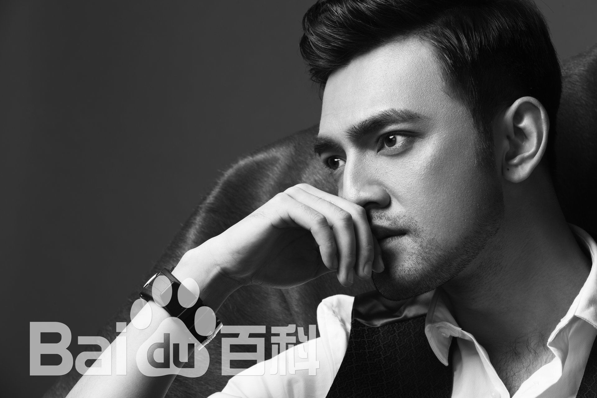 最新郭鹏性感图片